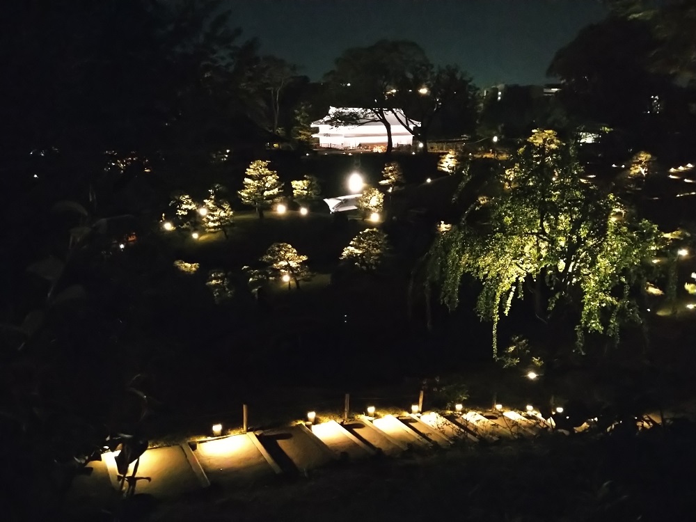 夜にライトアップされた玉泉院丸庭園