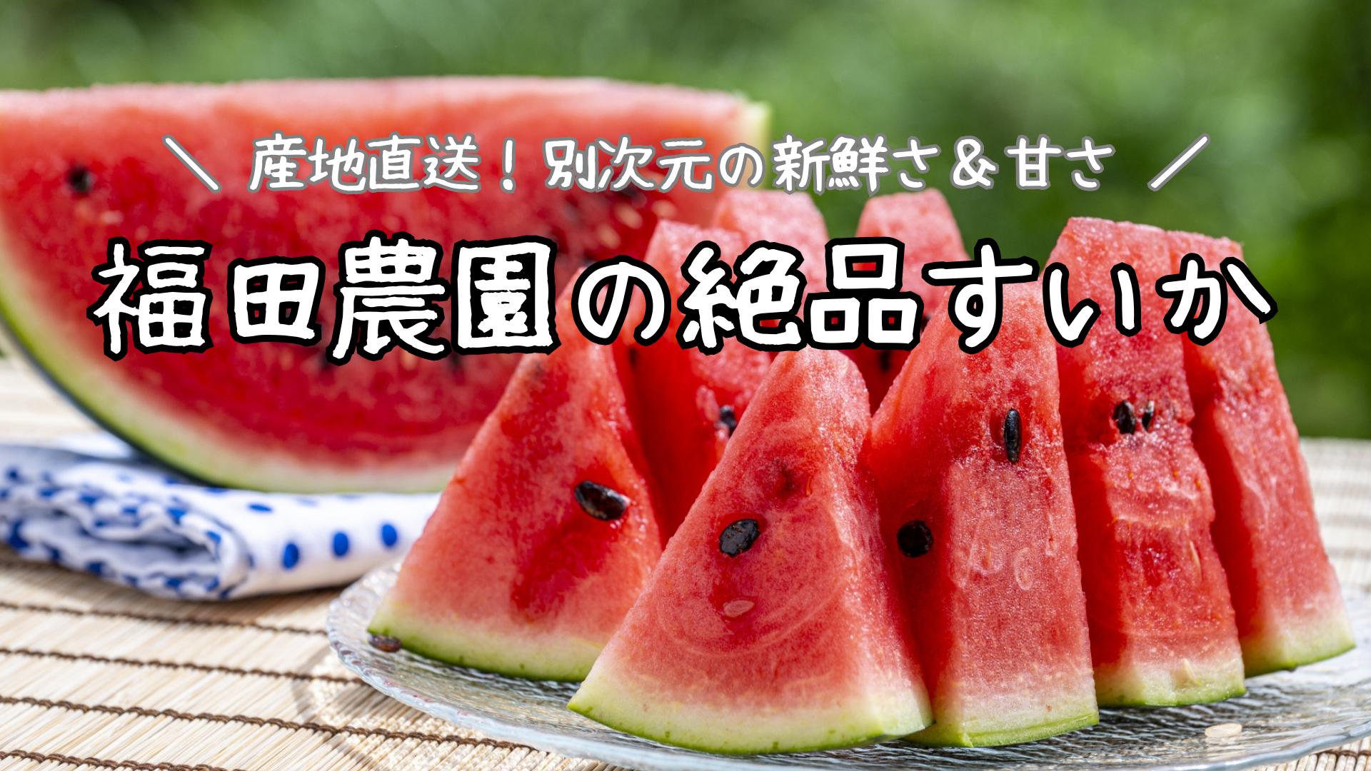 福田農園絶品すいか