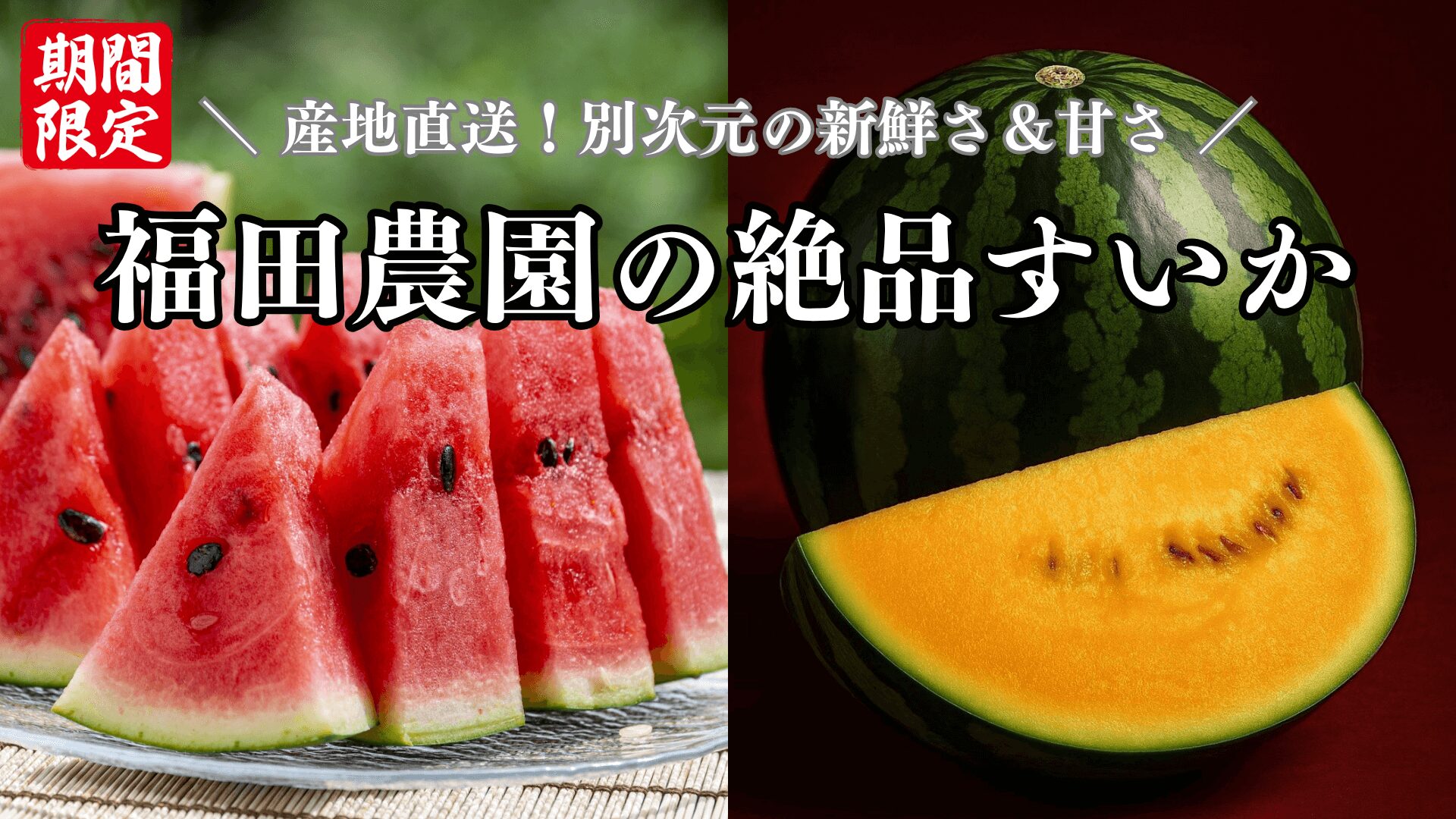 福田農園の絶品スイカ